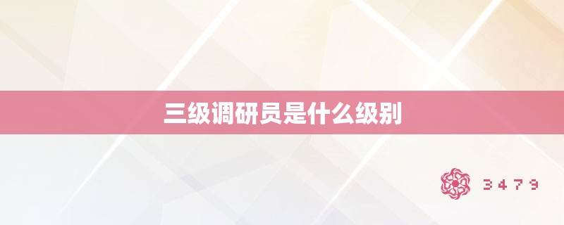 三级调研员是什么级别