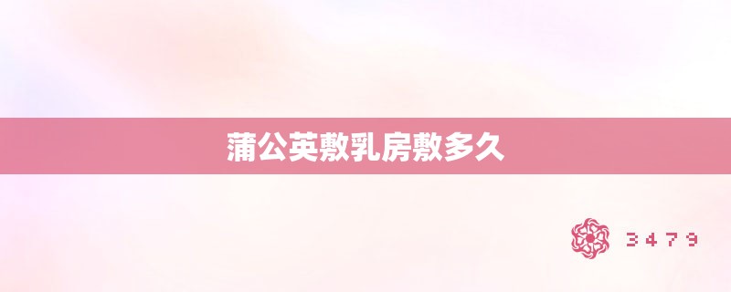 蒲公英敷乳房敷多久